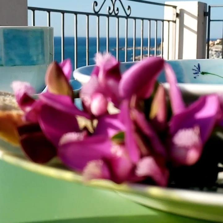 Agriturismo La Tuffatrice Imperia Exteriér fotografie