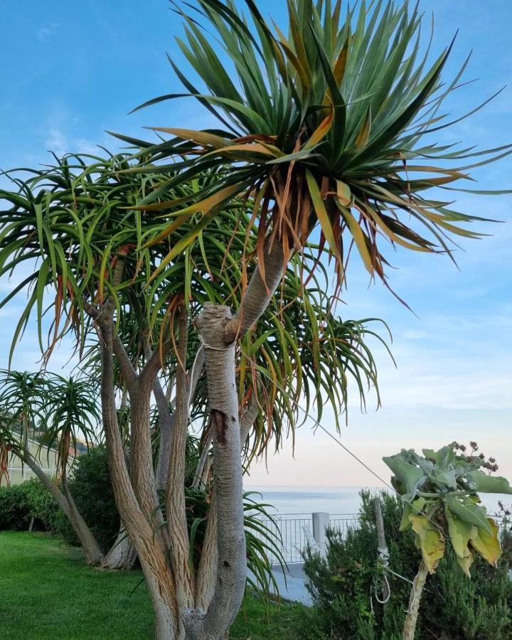 Agriturismo La Tuffatrice Imperia Exteriér fotografie