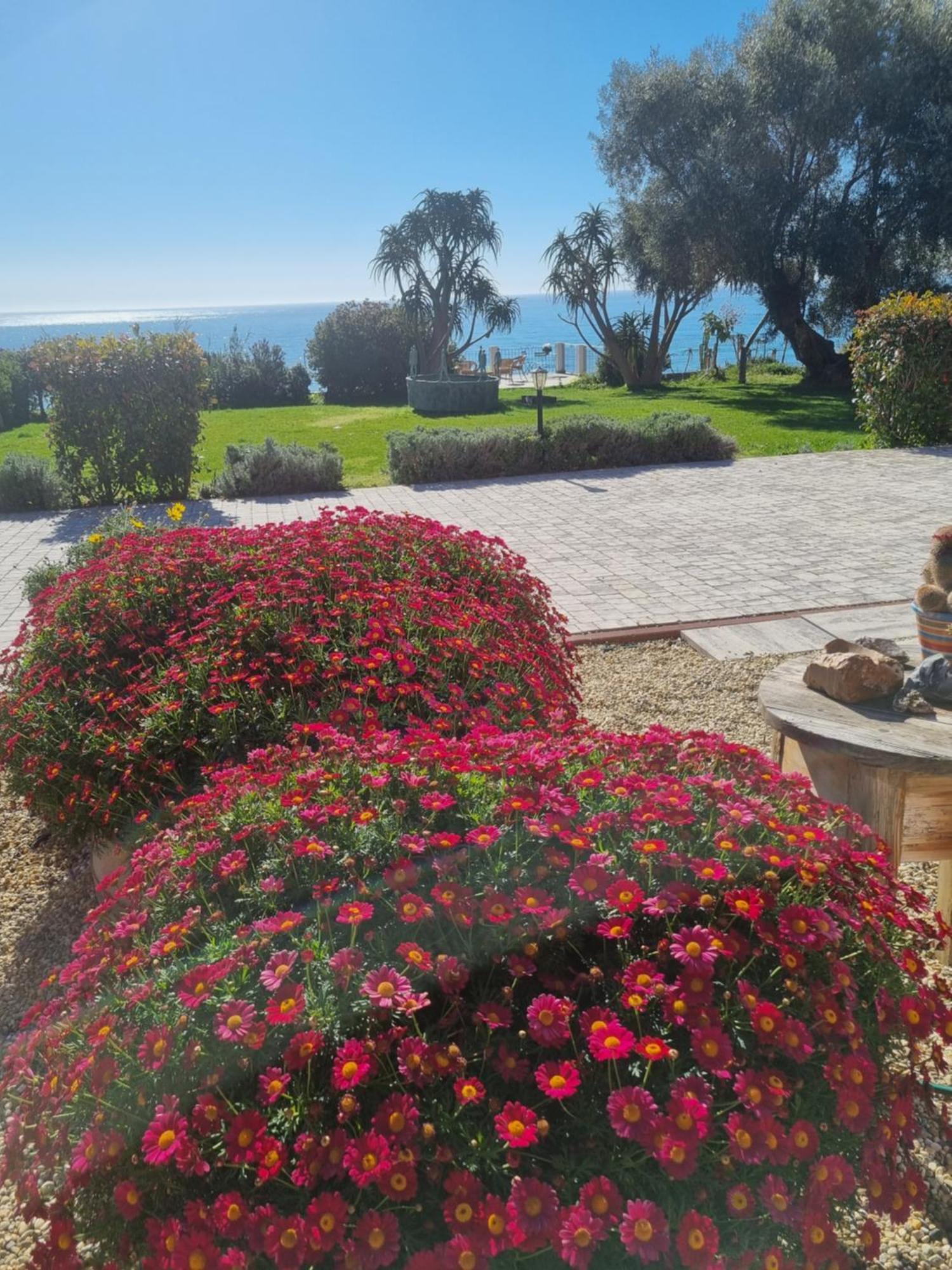 Agriturismo La Tuffatrice Imperia Pokoj fotografie